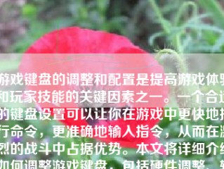 游戏键盘的调整和配置是提高游戏体验和玩家技能的关键因素之一。一个合适的键盘设置可以让你在游戏中更快地执行命令，更准确地输入指令，从而在激烈的战斗中占据优势。本文将详细介绍如何调整游戏键盘，包括硬件调整、软件配置以及个人习惯等多个方面。