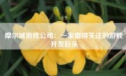 摩尔城游戏公司：一家值得关注的游戏开发巨头