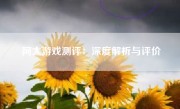 阿大游戏测评：深度解析与评价