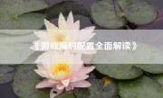 《游戏海豹配置全面解读》