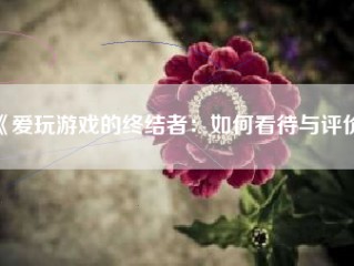 《爱玩游戏的终结者：如何看待与评价》