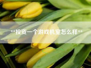 **投资一个游戏机室怎么样**