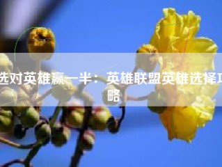 选对英雄赢一半：英雄联盟英雄选择攻略