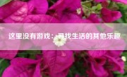 这里没有游戏：寻找生活的其他乐趣