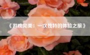 《游戏完美：一次独特的体验之旅》