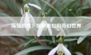 海强游戏：探索未知的奇幻世界
