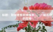 标题：如何查看游戏版本——一篇详尽的指南