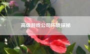 高级游戏公司环境探秘