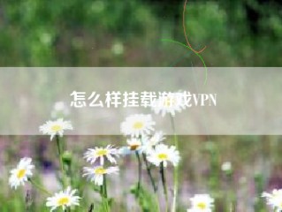 怎么样挂载游戏VPN