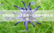 宝利游戏：一个值得一试的数字娱乐体验