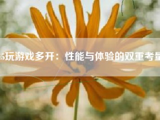 i5玩游戏多开：性能与体验的双重考量