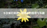 卡尔爱打游戏：游戏中的智慧与乐趣