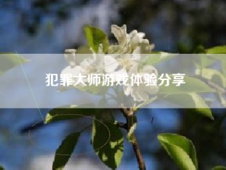 犯罪大师游戏体验分享