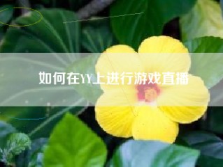 如何在YY上进行游戏直播