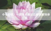 小小游戏：一款令人难以忘怀的独特体验