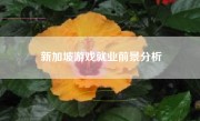 新加坡游戏就业前景分析