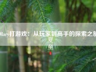 Mary打游戏：从玩家到高手的探索之旅