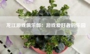 龙江游戏俱乐部：游戏爱好者的乐园