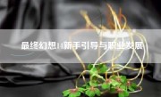 最终幻想14新手引导与职业发展