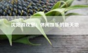 沈阳游戏室：休闲娱乐的新天地