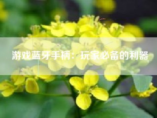 游戏蓝牙手柄：玩家必备的利器