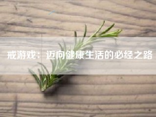 戒游戏：迈向健康生活的必经之路