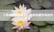 《隐秘侦探游戏》：揭秘隐藏在背后的世界