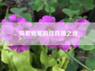 探索新星游戏直播之途