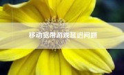 移动宽带游戏延迟问题