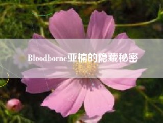 Bloodborne亚楠的隐藏秘密