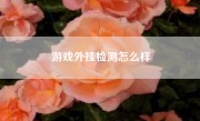 游戏外挂检测怎么样