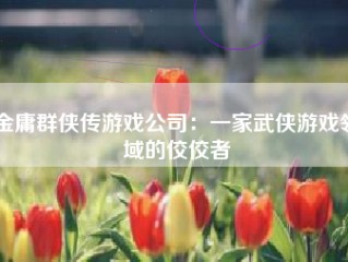 金庸群侠传游戏公司：一家武侠游戏领域的佼佼者