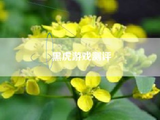 黑虎游戏测评