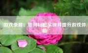 游戏录屏：如何轻松实现并提升游戏体验