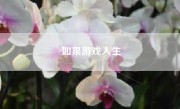 如果游戏人生
