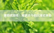 唐伯虎游戏：穿越古今的沉浸式体验