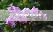 一夜之秋游戏名字探究