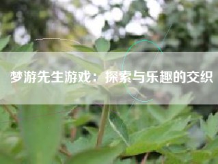 梦游先生游戏：探索与乐趣的交织