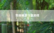 如何畅享任意游戏