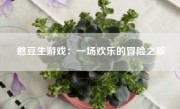 憨豆生游戏：一场欢乐的冒险之旅