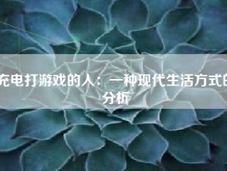 充电打游戏的人：一种现代生活方式的分析