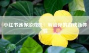 小红书迷你游戏机：解锁你的游戏新体验