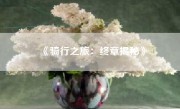《骑行之旅：终章揭秘》