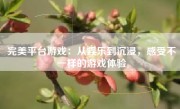 完美平台游戏：从娱乐到沉浸，感受不一样的游戏体验