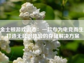 金士顿游戏固态：一款专为电竞而生，打造无延迟体验的存储解决方案