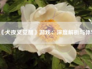 《犬夜叉觉醒》游戏：深度解析与体验