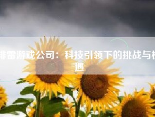 排雷游戏公司：科技引领下的挑战与机遇