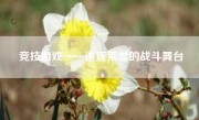 竞技游戏——追逐荣誉的战斗舞台