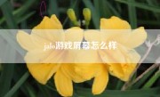 jalo游戏屏幕怎么样