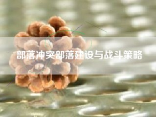 部落冲突部落建设与战斗策略